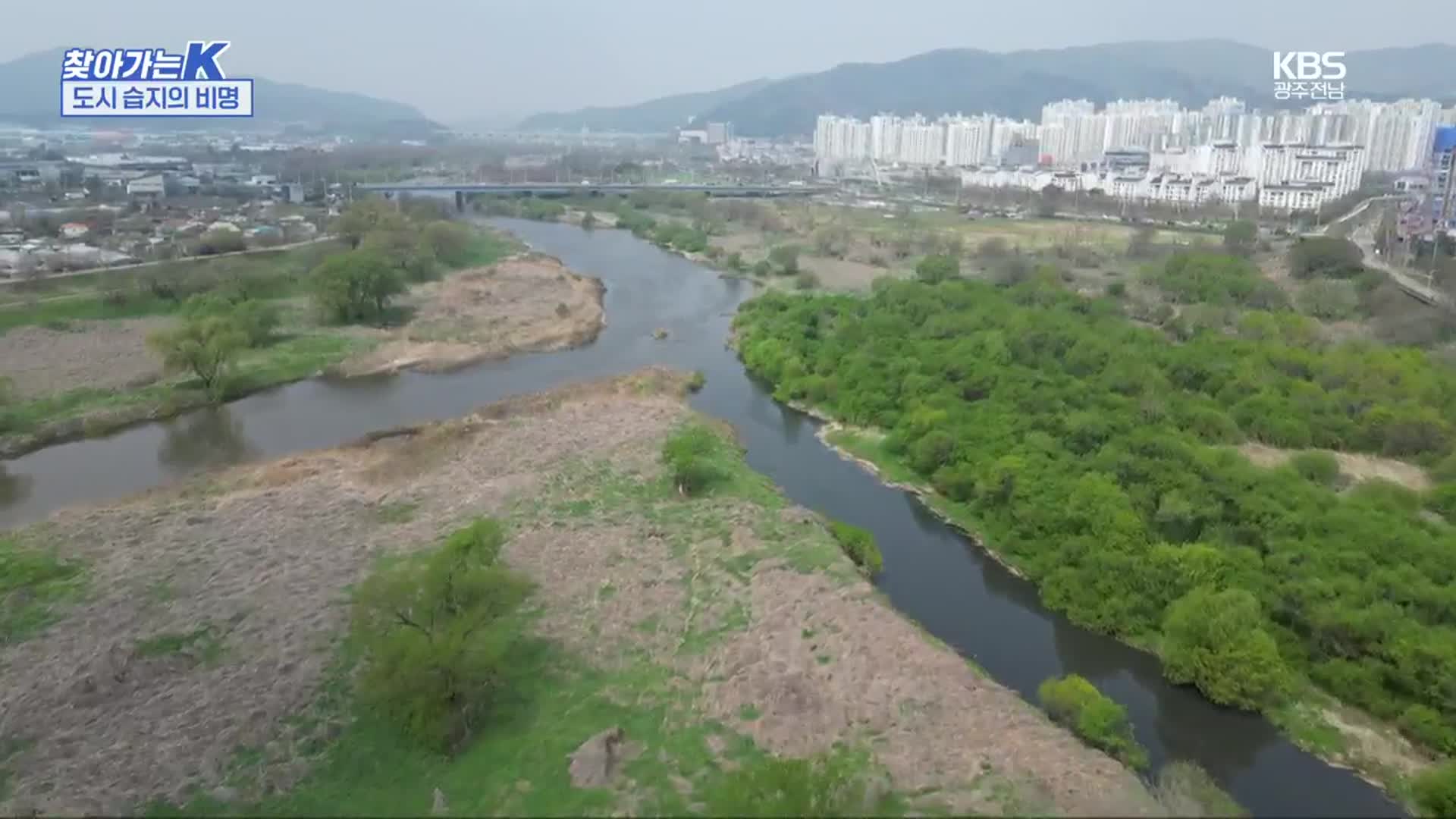 [찾아가는K] 도시 습지의 비명