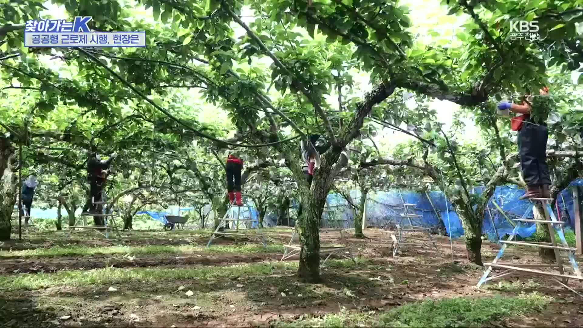 [찾아가는K] 공공형 근로제 시행, 현장을 찾아가다!