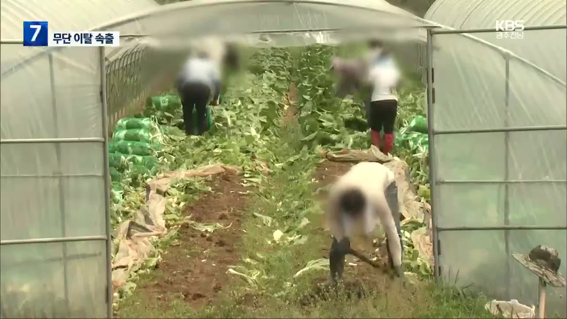 계절 근로자 무단 이탈 잇따라…“체류연장·인권 보장 시급”