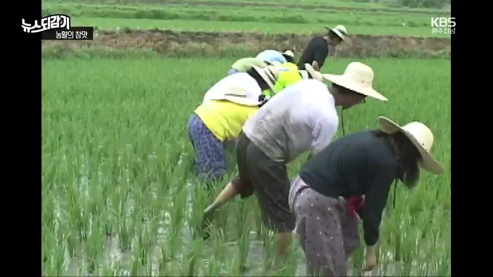 [뉴스되감기] 가자, 농촌으로! 대학생 농활 풍경