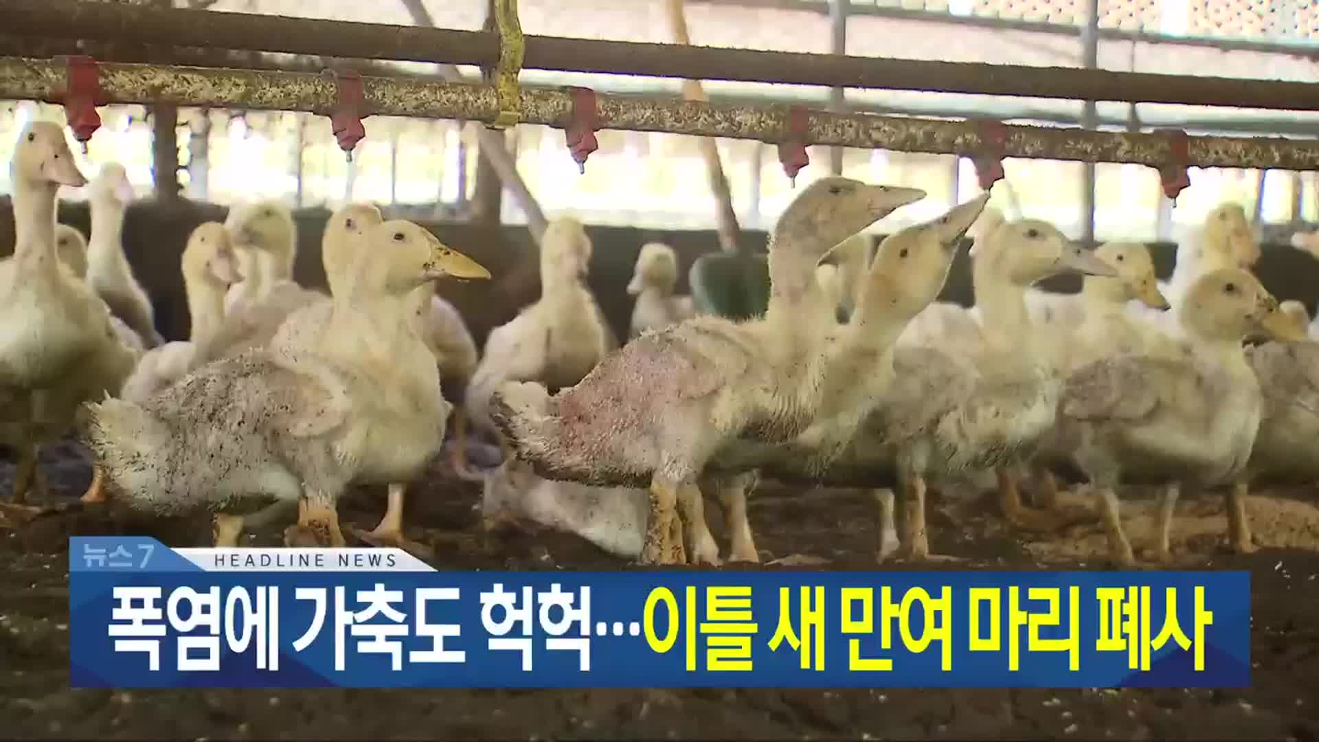 [뉴스7 광주·전남 헤드라인]