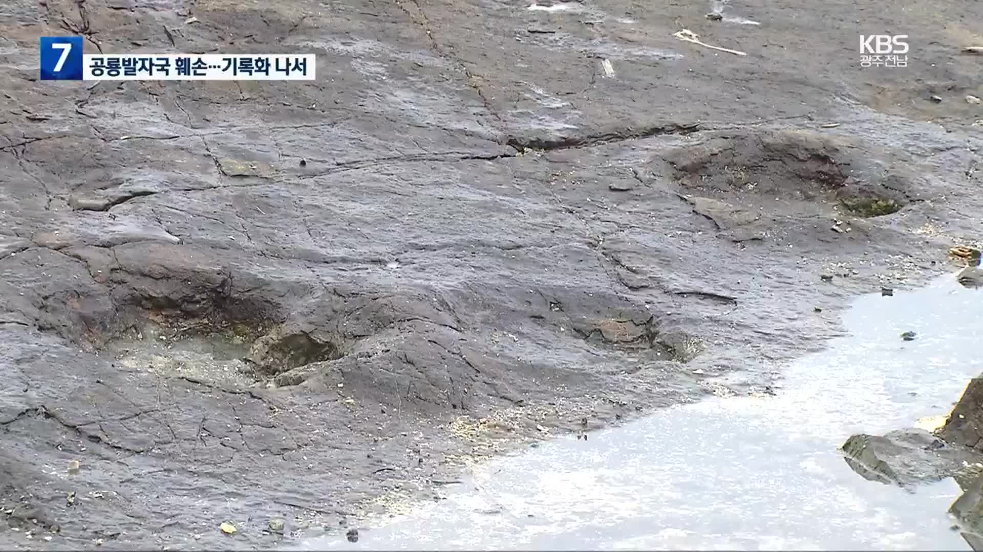 [여기는 전남] 공룡발자국 화석 풍화로 훼손…기록화 추진