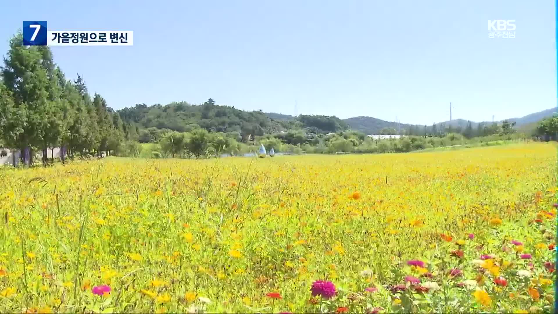 [여기는 전남] 내일 ‘백로’…순천만국가정원, 가을정원으로 변신