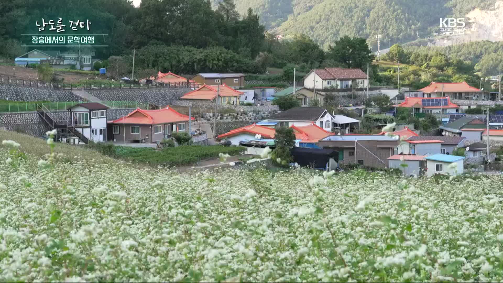 [남도를 걷다] 문학이 있는 마을 ‘장흥 선학동’