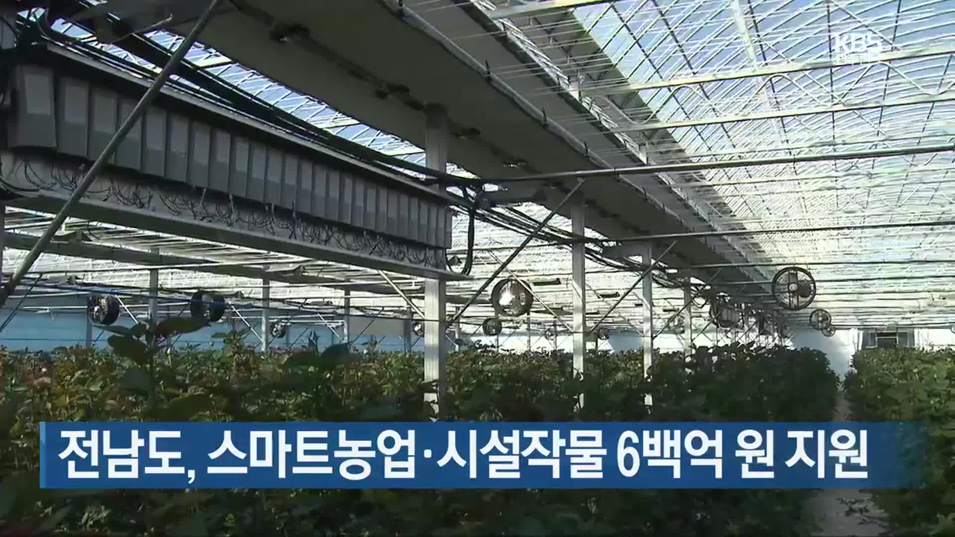 [여기는 전남] 전남도, 스마트농업·시설작물 6백억 원 지원 외