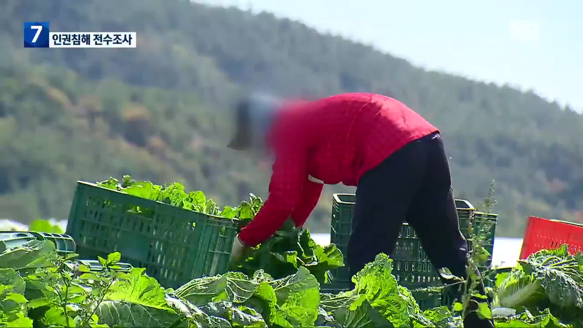 계절근로자 인권 침해 조사…브로커 원천 차단은 ‘글쎄’