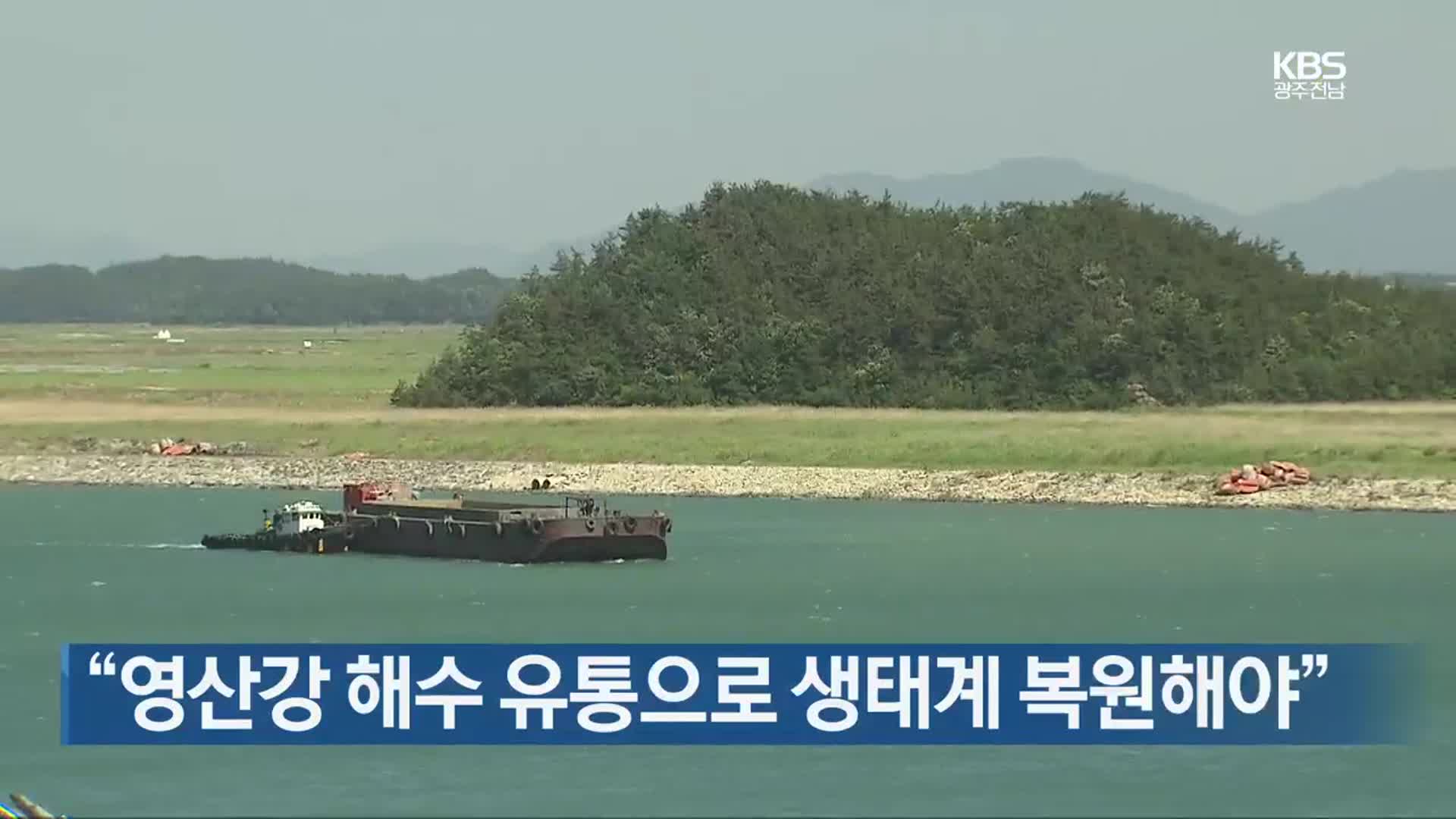 [여기는 전남] “영산강 해수 유통으로 생태계 복원해야” 외