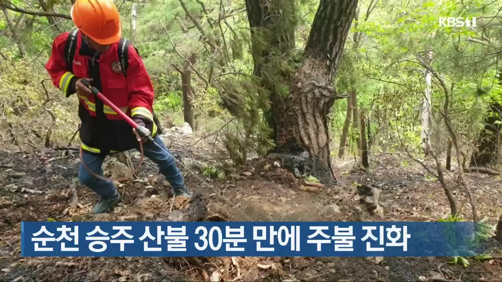 순천 승주 산불 30분 만에 주불 진화