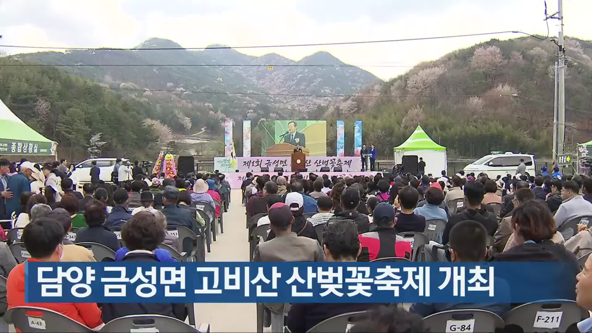 담양 금성면 고비산 산벚꽃축제 개최