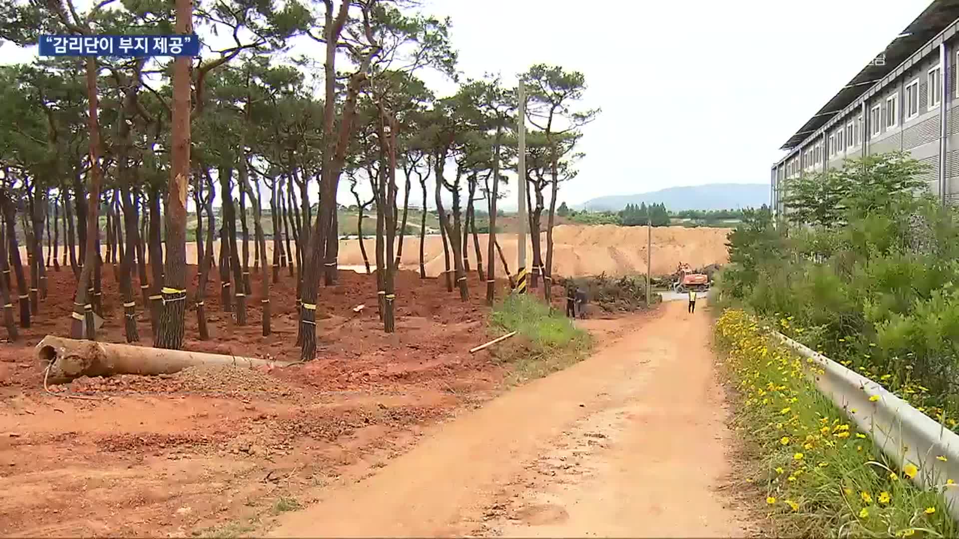 ‘소나무 불법 이동’ 부지 제공…허용 배경도 의문