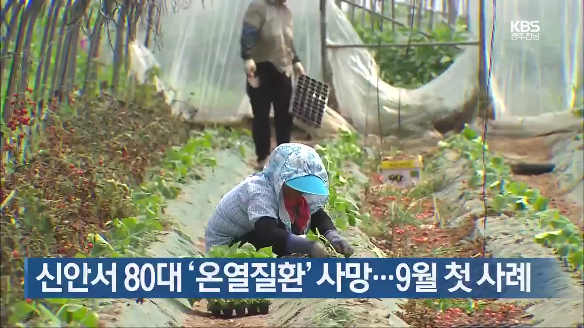 [간추린 단신] 신안서 80대 ‘온열질환’ 사망…9월 첫 사례 외