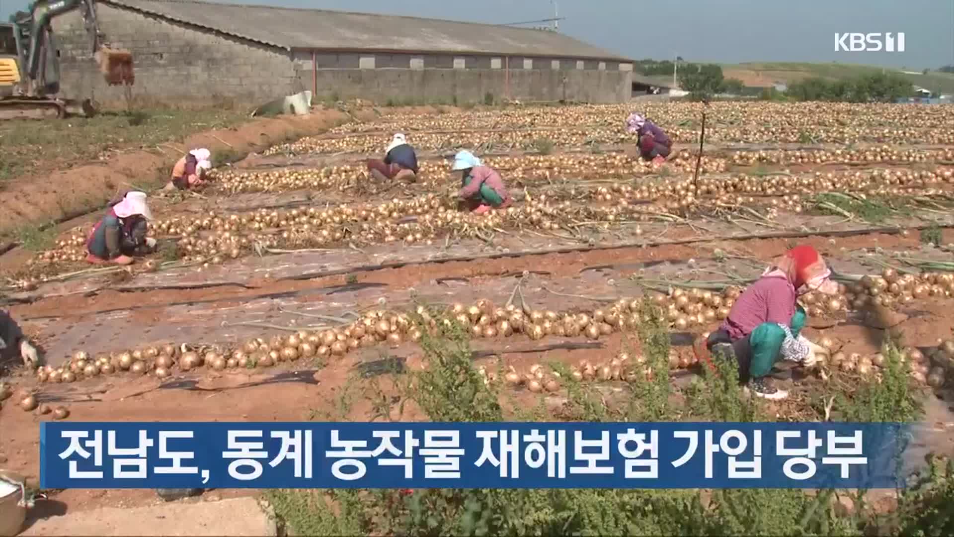 전남도, 동계 농작물 재해보험 가입 당부