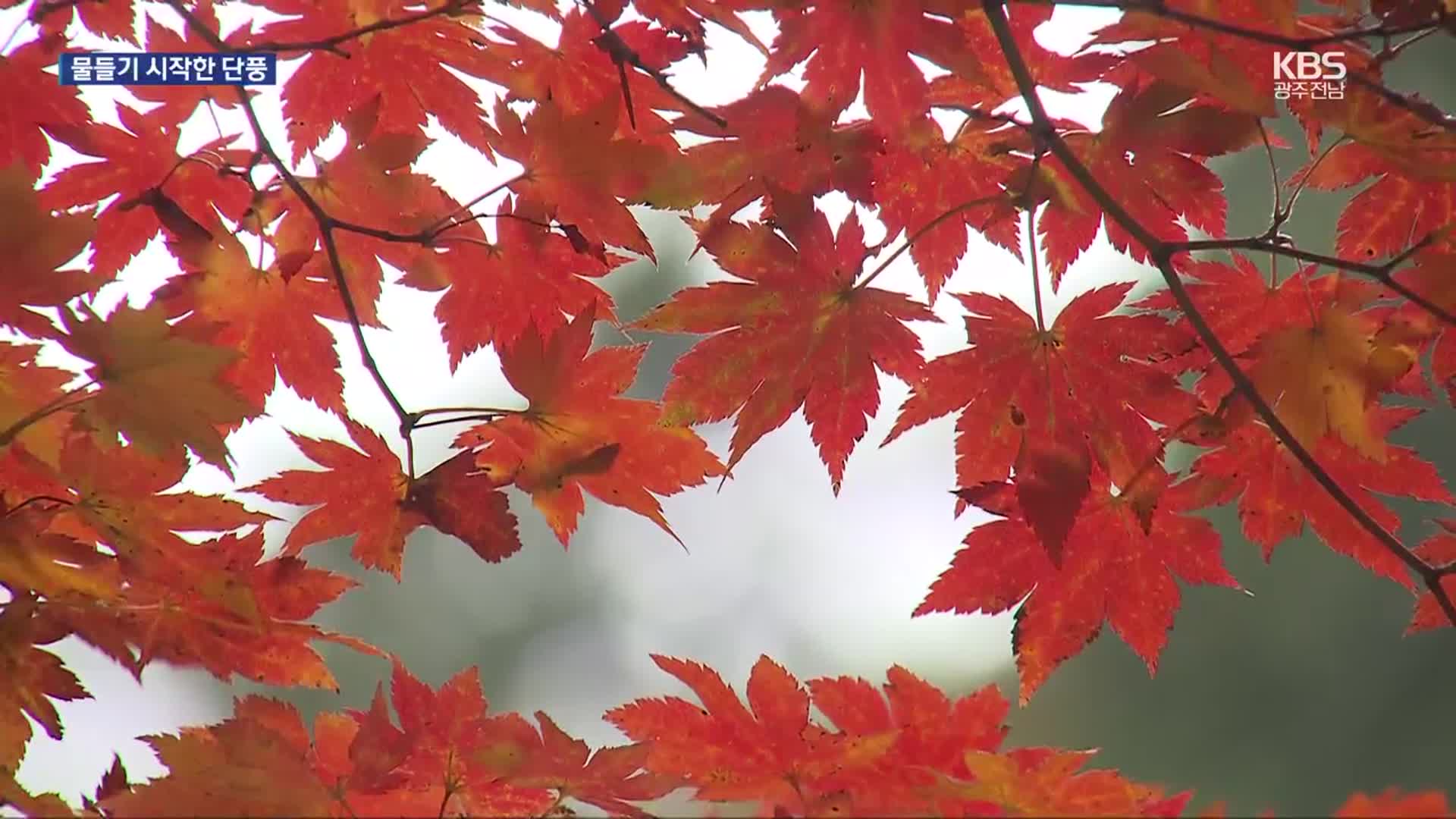 물드는 설악 단풍…이번 주말 절정 맞을 듯