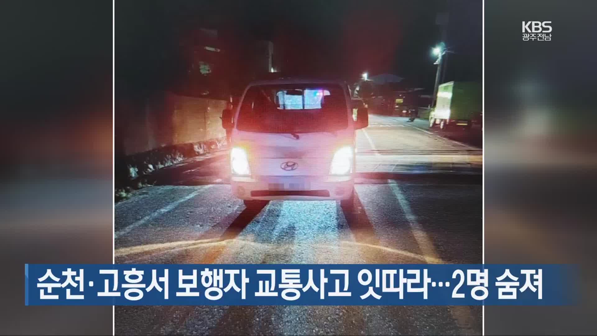 순천·고흥서 보행자 교통사고 잇따라…2명 숨져