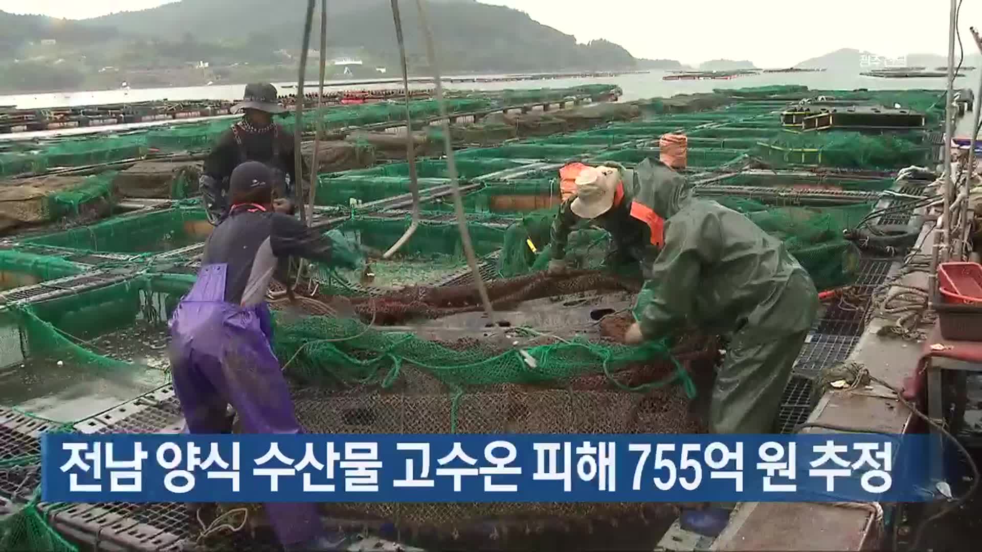 [여기는 전남] 전남 양식 수산물 고수온 피해 755억 원 추정 외