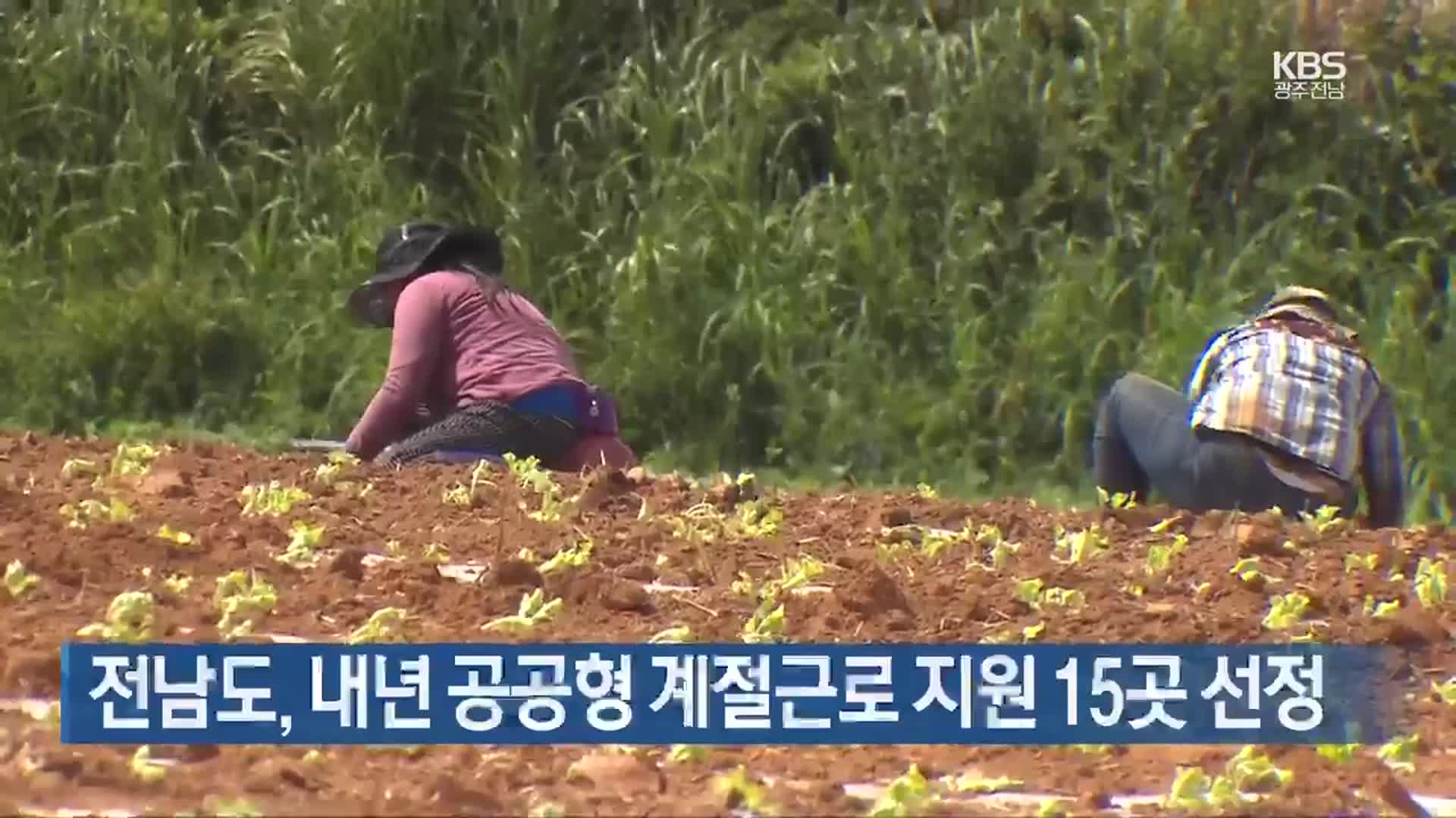 [여기는 전남] 전남도, 내년 공공형 계절근로 지원 15곳 선정 외