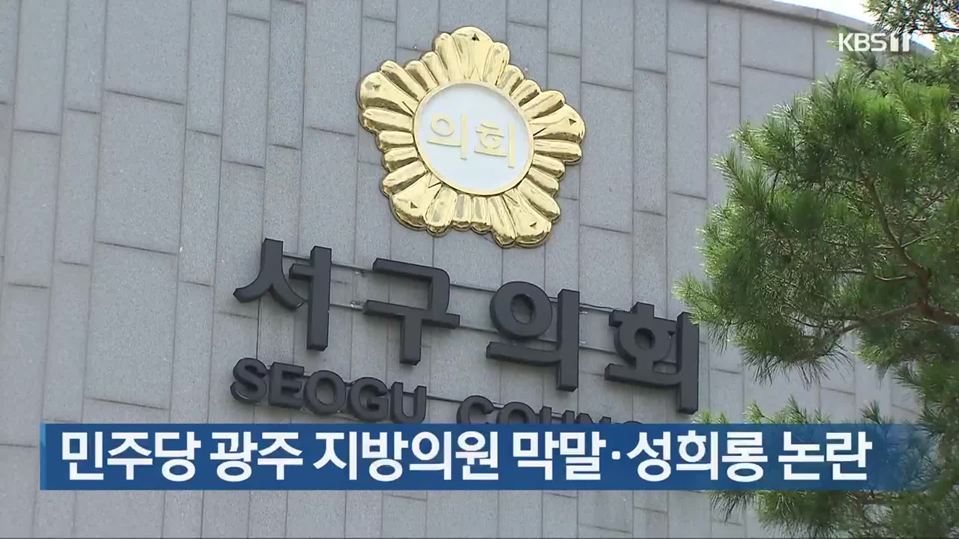 민주당 광주 지방의원 막말·성희롱 논란