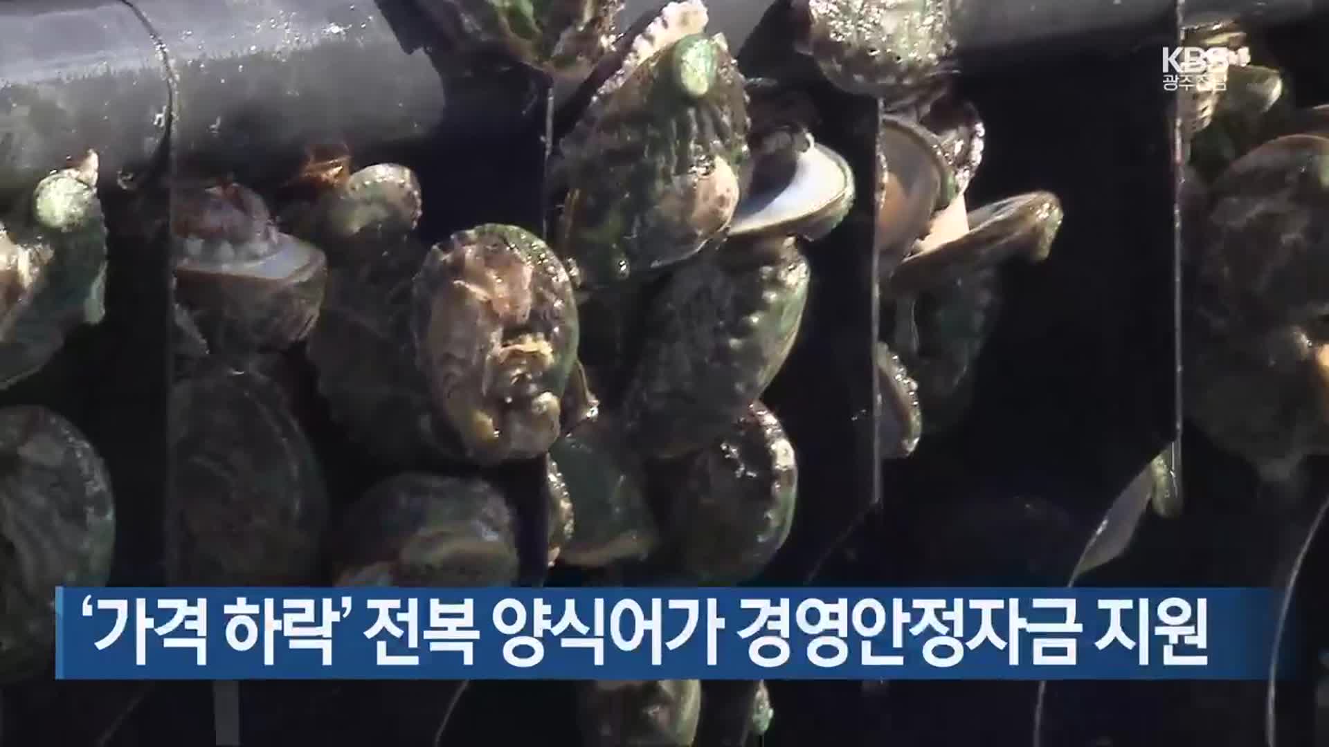 [여기는 전남] ‘가격 하락’ 전복 양식어가 경영안정자금 지원 외