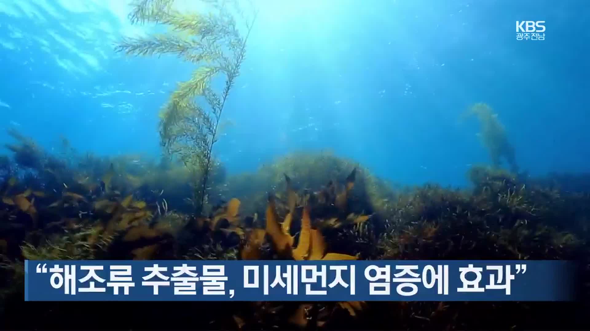 [여기는 전남] “해조류 추출물, 미세먼지 염증에 효과” 외