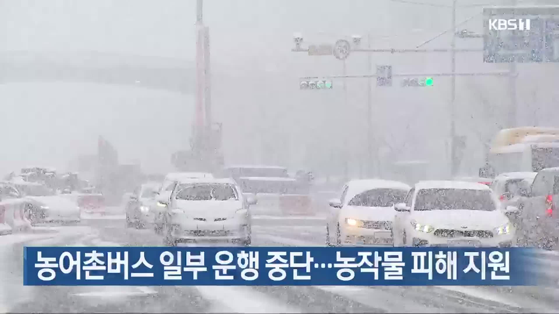 농어촌버스 일부 운행 중단…농작물 피해 지원
