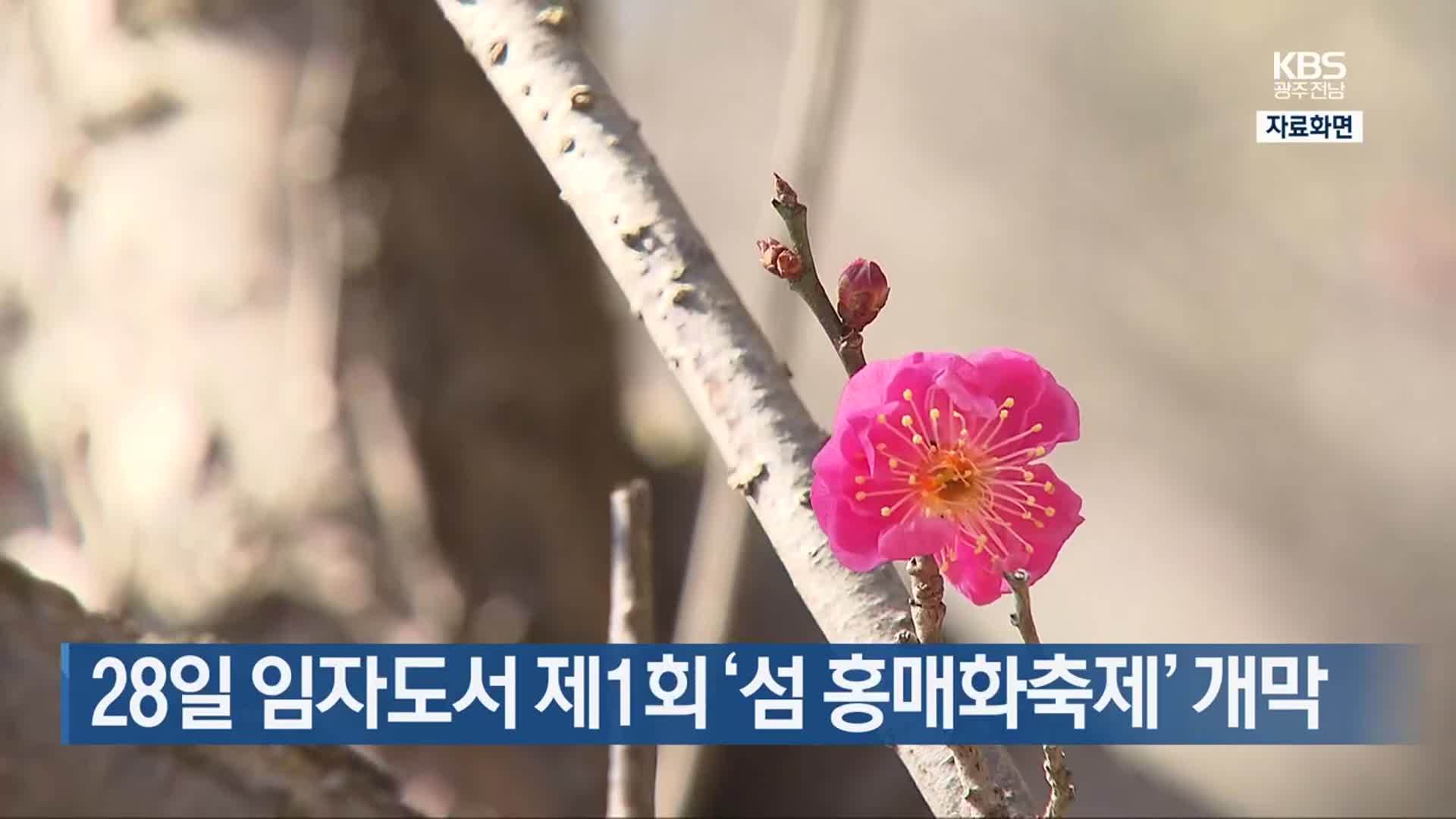 [여기는 전남] 28일 임자도서 제1회 ‘섬 홍매화축제’ 개막 외