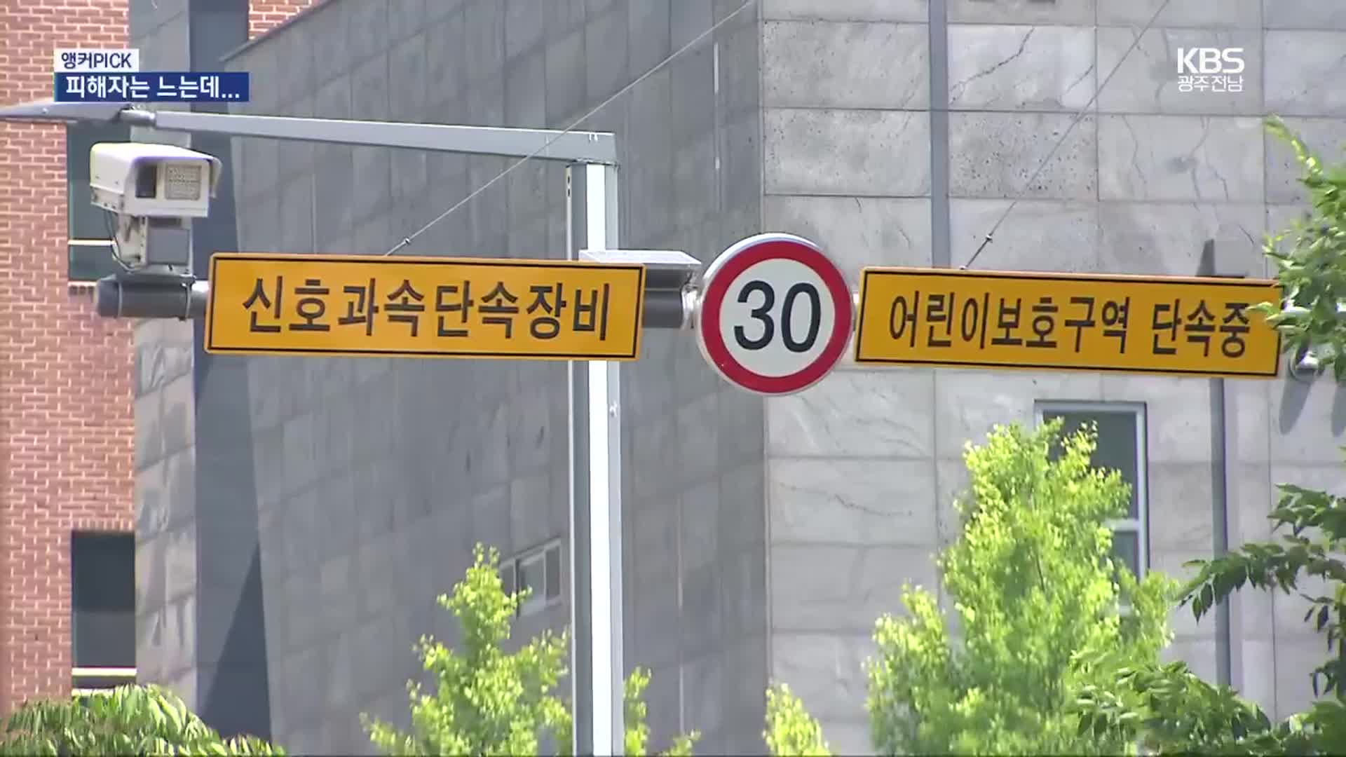 [앵커PICK] 어린이보호구역 24시간 단속…헌법소원까지