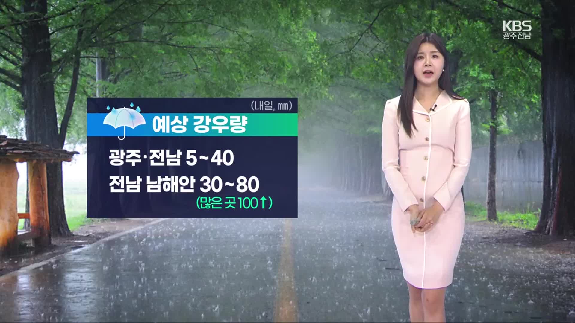 [날씨] 광주·전남 내일까지 많은 비…남해안 100mm↑