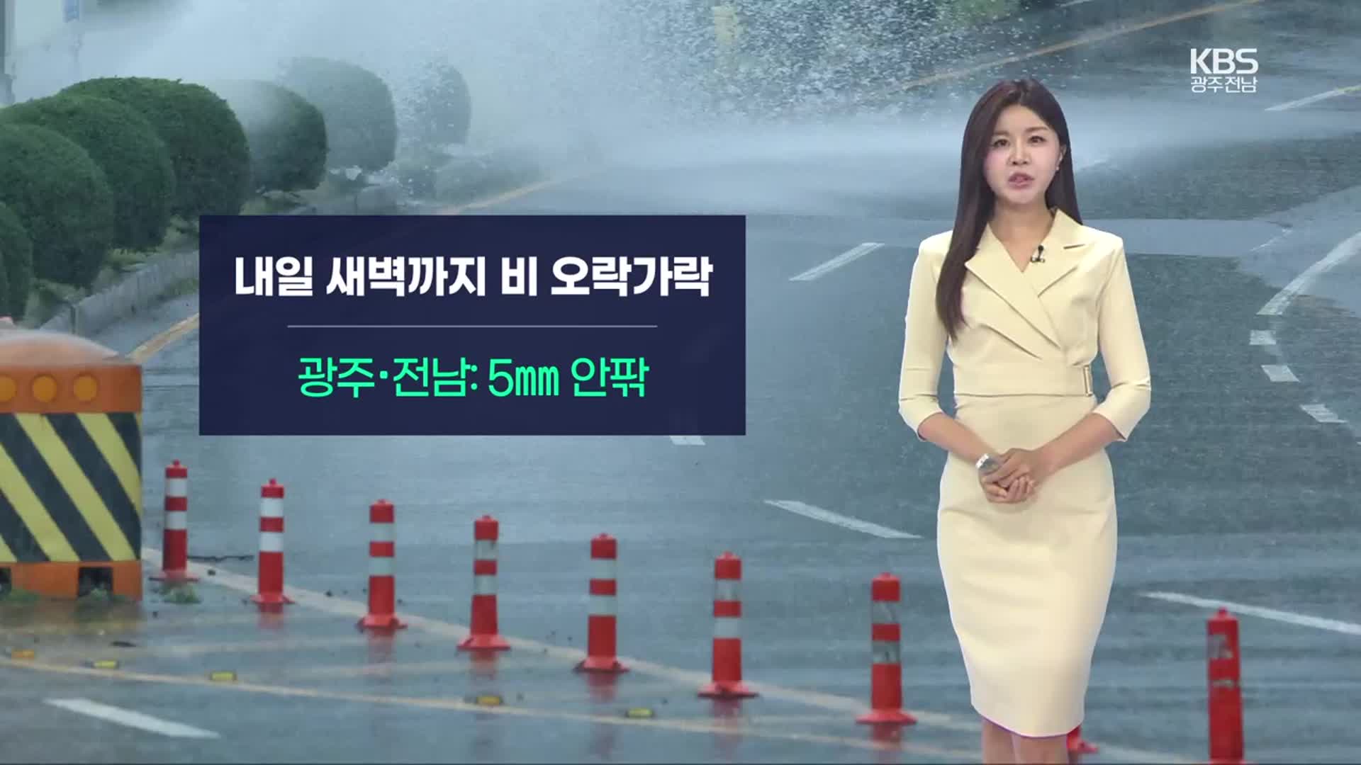 [날씨] 광주·전남 내일 새벽까지 약한 비…주말 다시 비