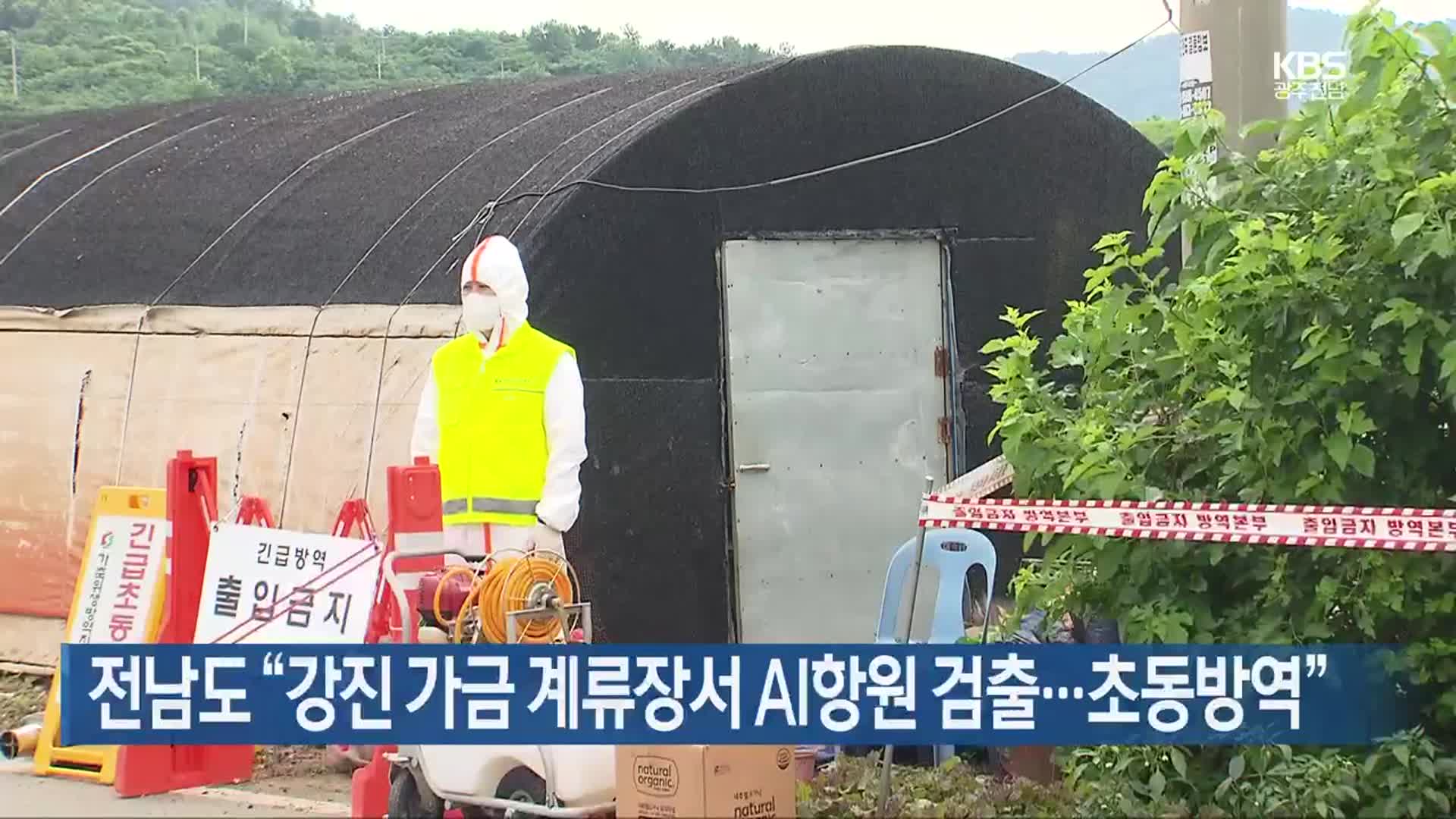 [여기는 전남] 전남도 “강진 가금 계류장서 AI항원 검출…초동방역” 외