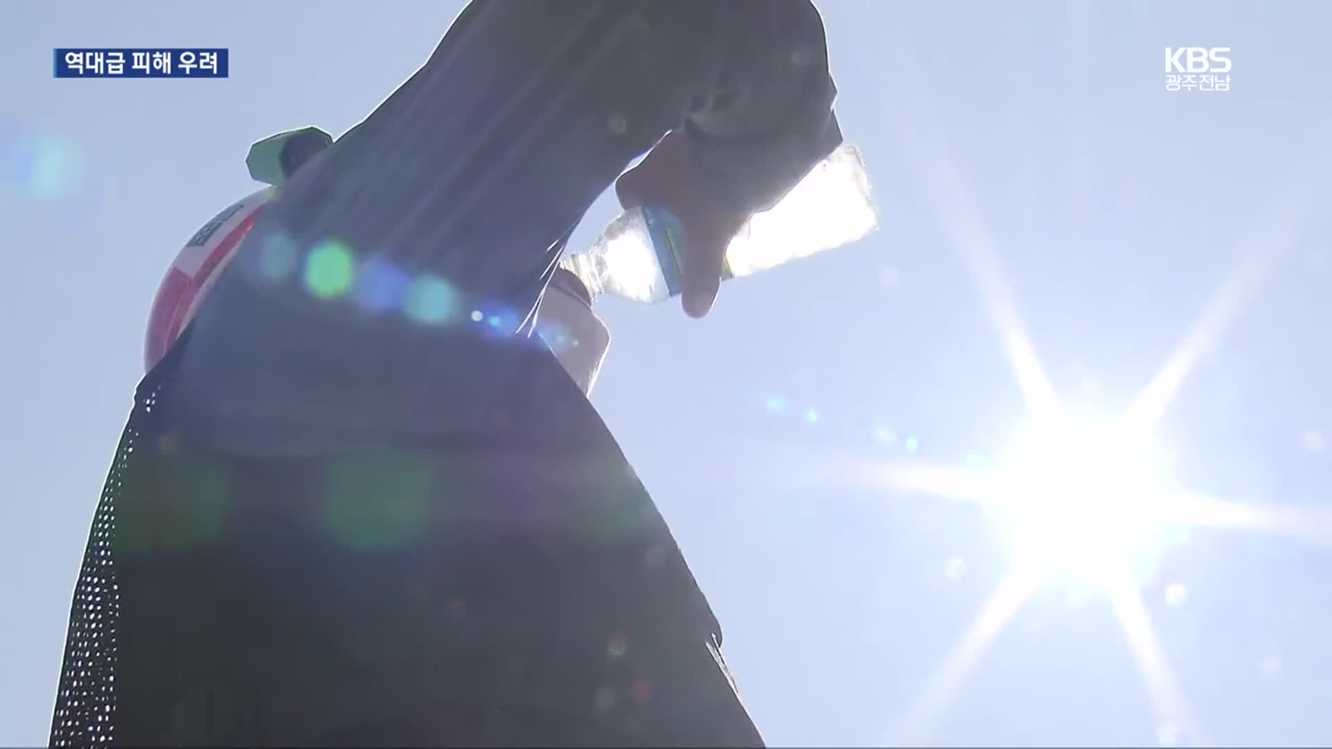 광주·전남 엿새째 폭염특보…전남서 가축 3만 4천 마리 폐사