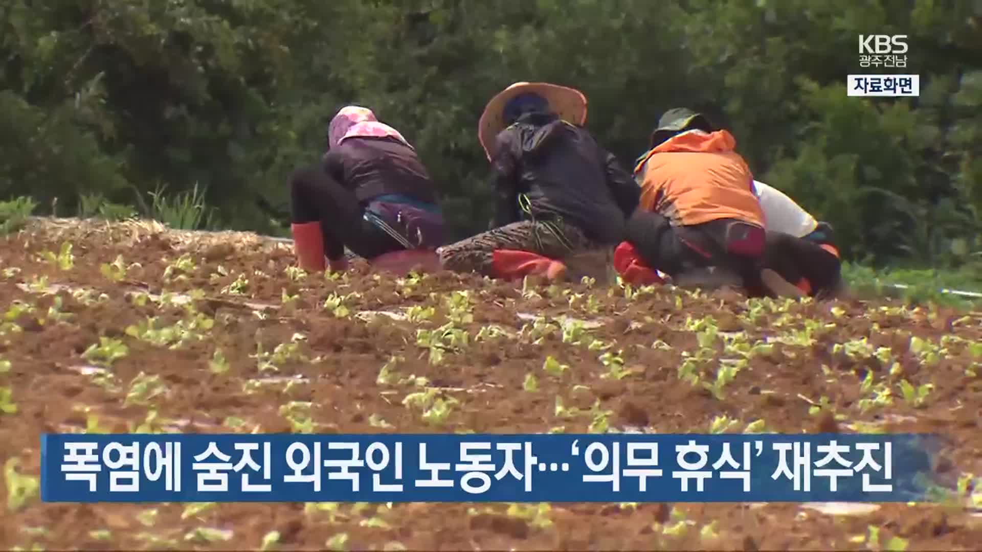 폭염에 숨진 외국인 노동자…‘의무 휴식’ 재추진