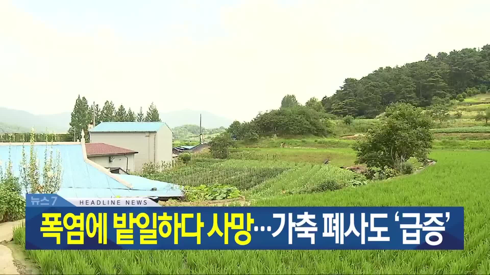 [뉴스7 광주·전남 헤드라인]