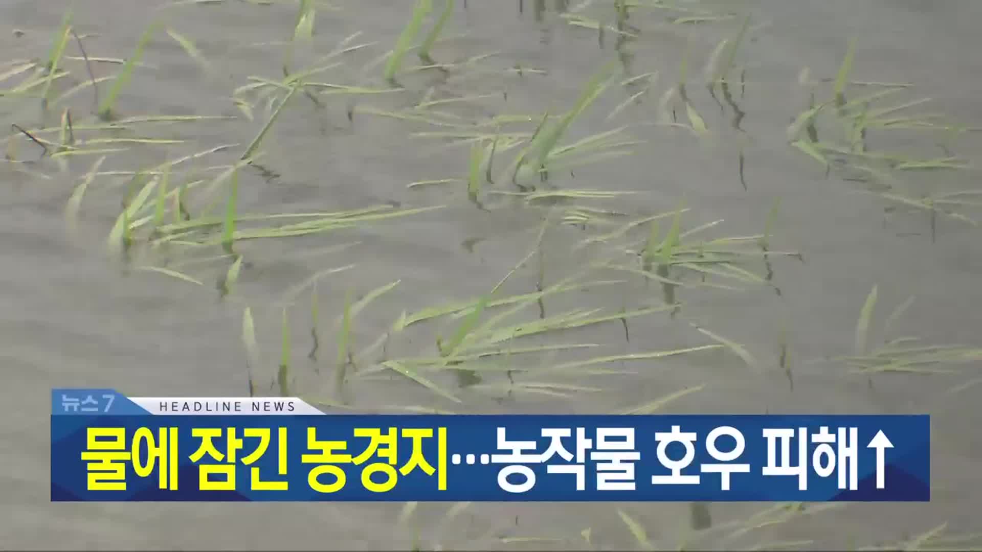 [뉴스7 광주·전남 헤드라인]