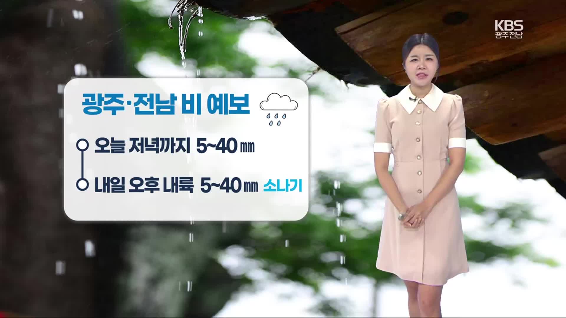 [날씨] 광주·전남 다시 전 지역 폭염특보…내륙 소나기