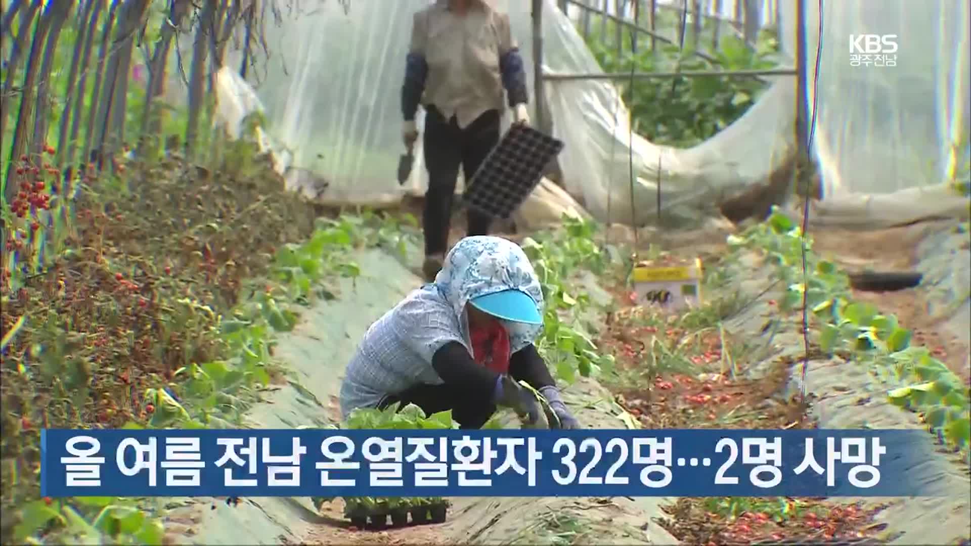 [여기는 전남] 올 여름 전남 온열질환자 322명…2명 사망 외
