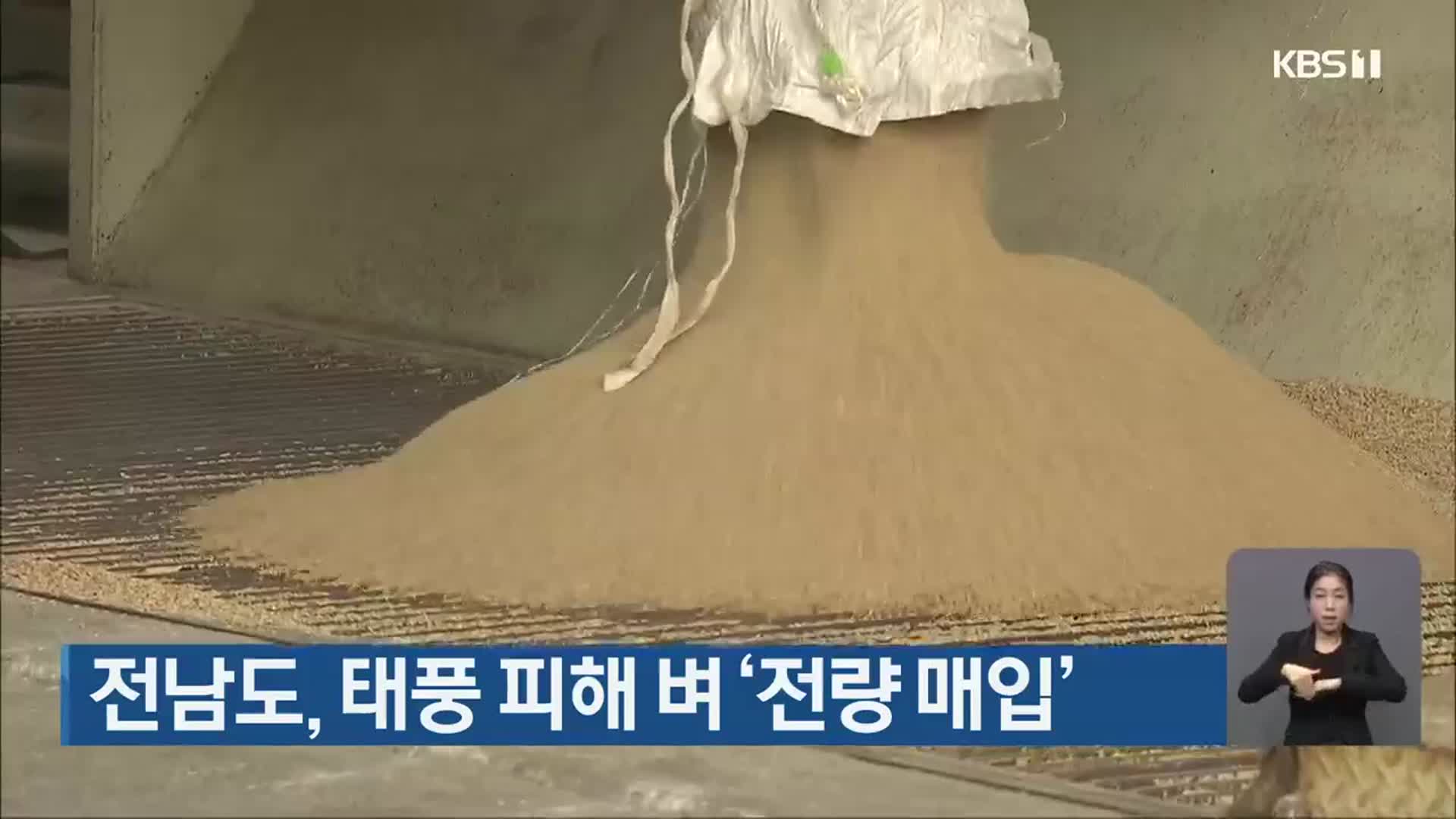 전남도, 태풍 피해 벼 ‘전량 매입’