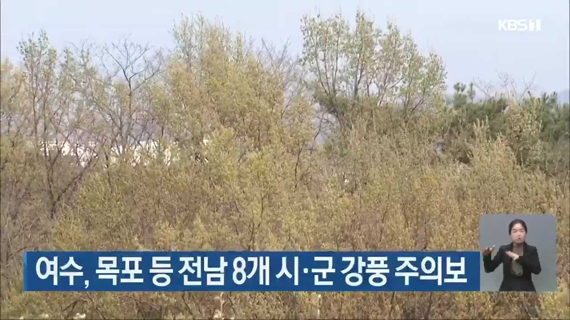 여수, 목포 등 전남 8개 시·군 강풍 주의보