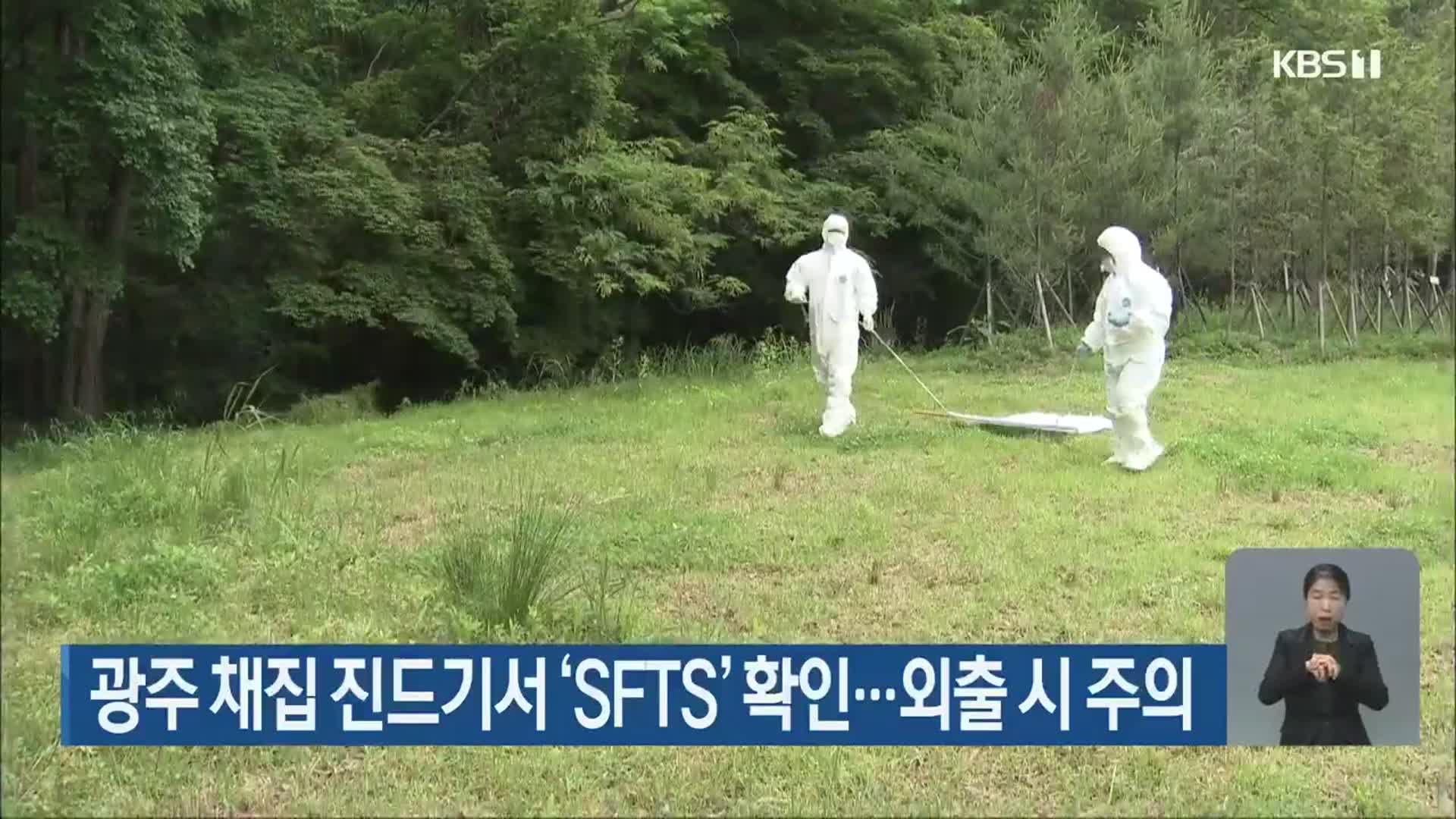 광주 채집 진드기서 ‘SFTS’ 확인…외출 시 주의