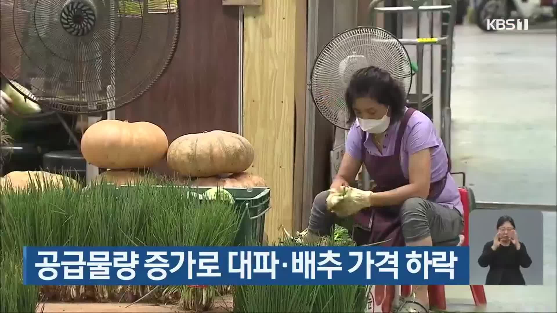 공급물량 증가로 대파·배추 가격 하락
