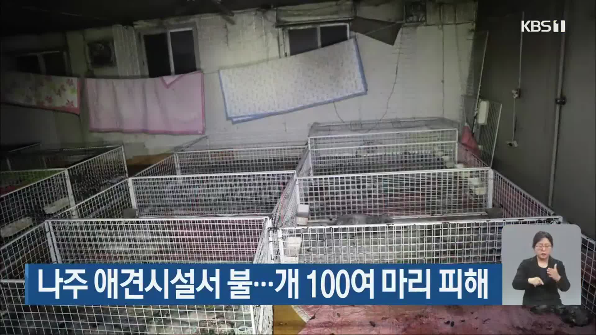 나주 애견시설서 불…개 100여 마리 피해