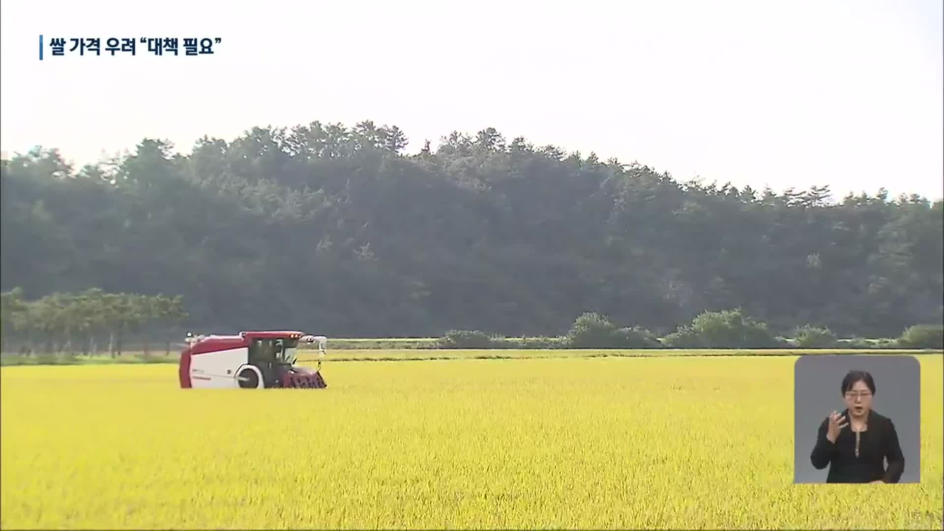 쌀 풍년 기대…가격은 또다시 걱정