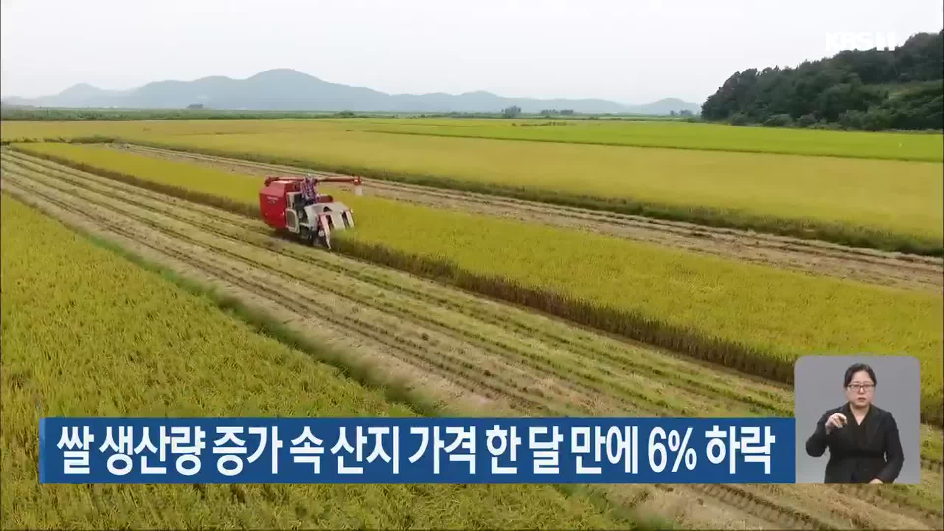쌀 생산량 증가 속 산지 가격 한 달 만에 6% 하락