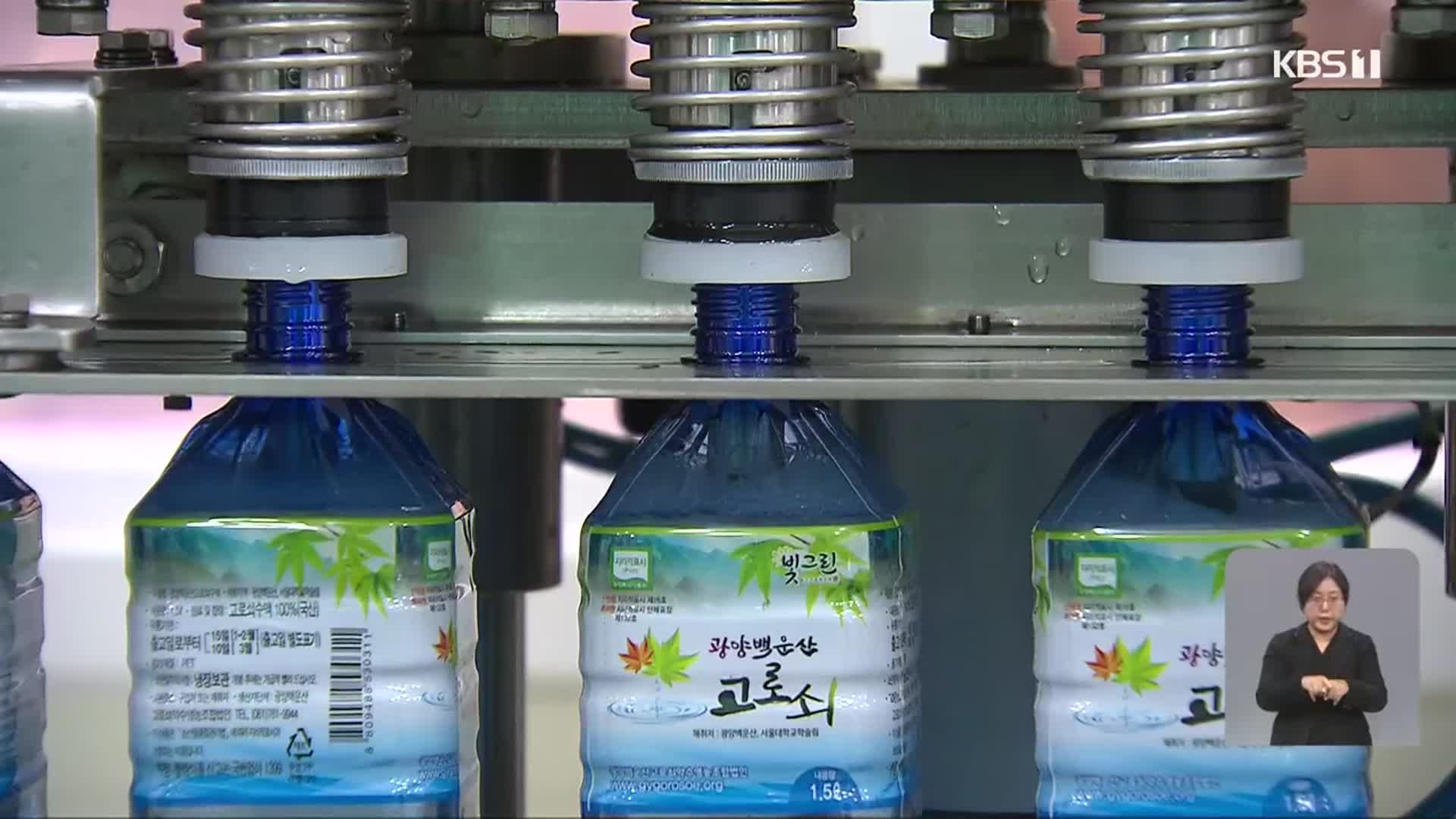 ‘귀하신 몸’ 광양 고로쇠 수액 본격 출하