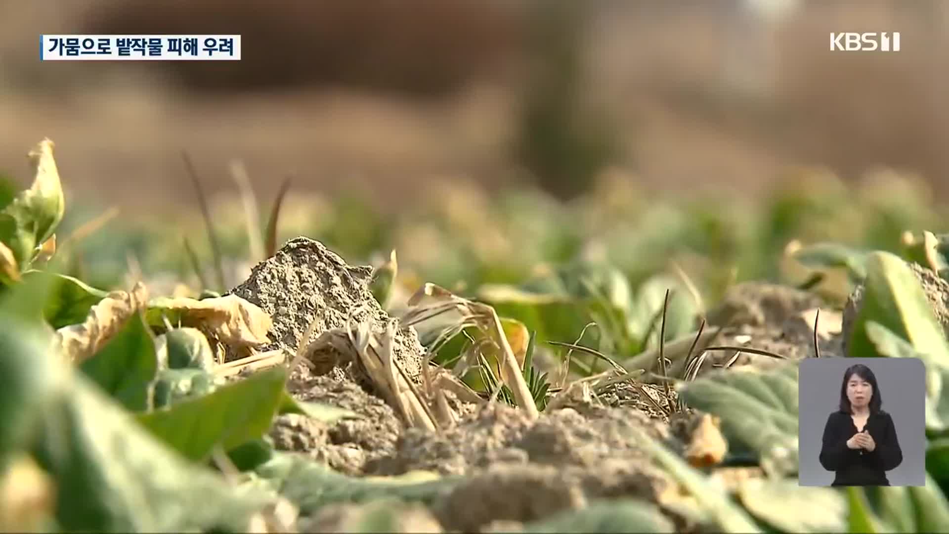 전남 일부 초기 가뭄…농사 피해 우려