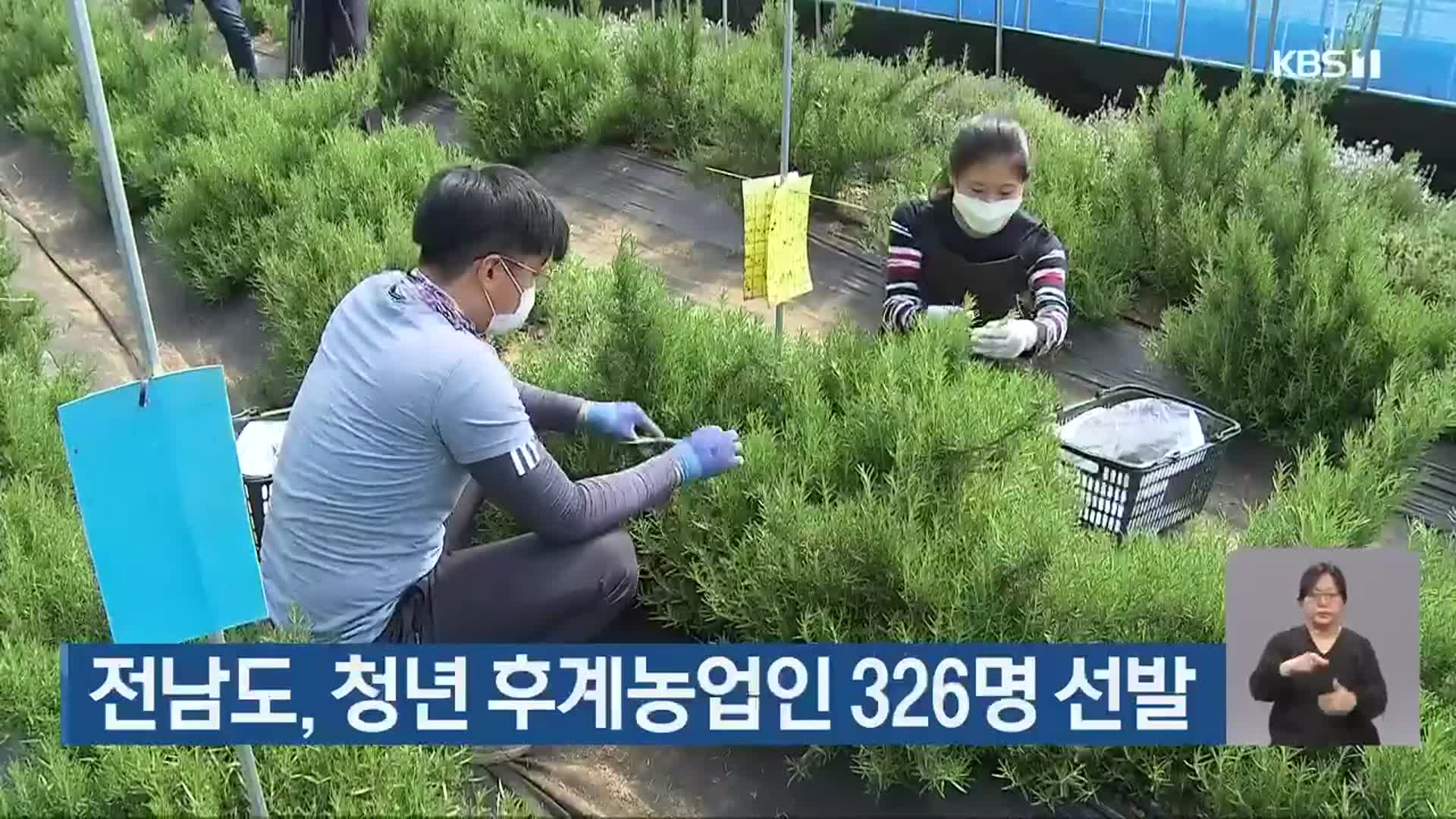 전남도, 청년 후계농업인 326명 선발