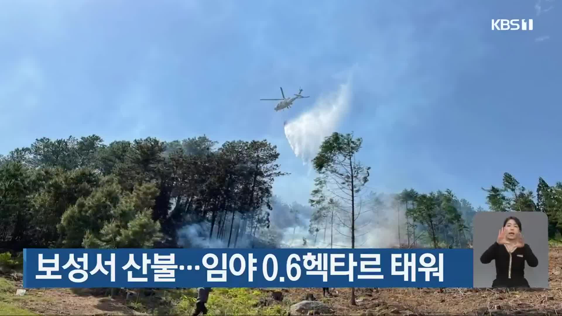 보성서 산불…임야 0.6헥타르 태워