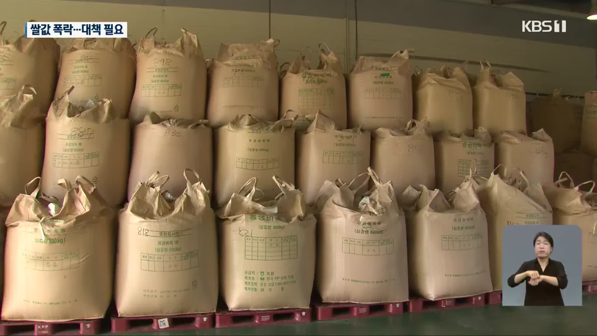 쌀값 20% 폭락·하락 지속…농민들 “정부가 제때 놓친 탓”