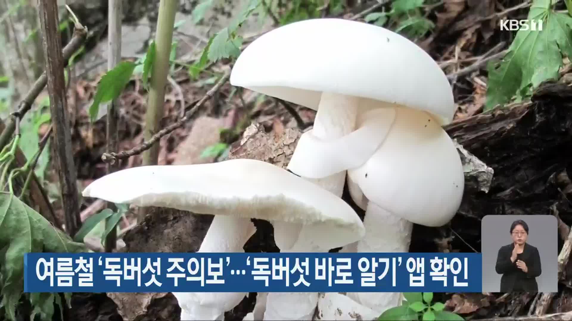 여름철 ‘독버섯 주의보’…‘독버섯 바로 알기’ 앱 확인