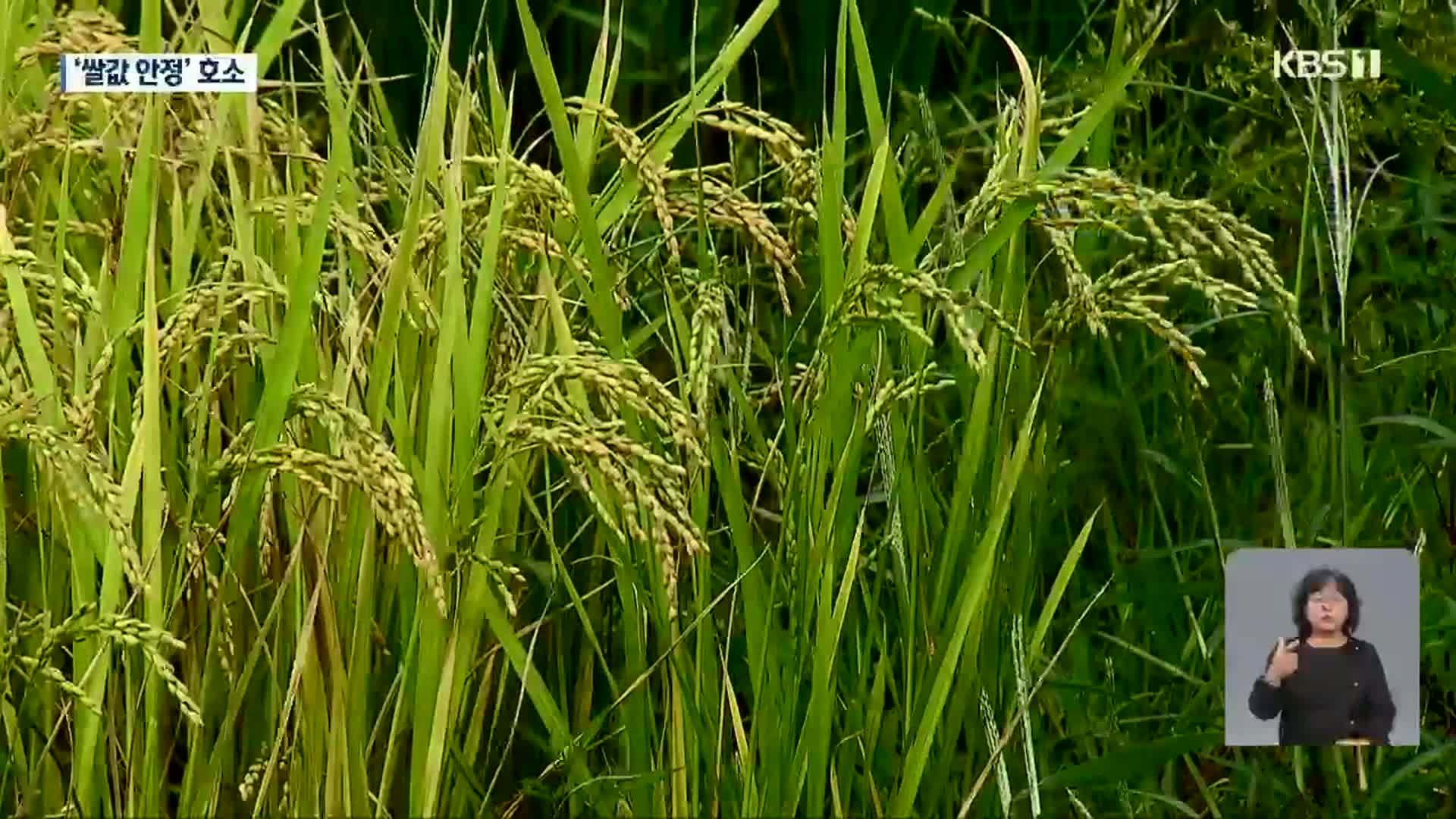 8개 도지사 “쌀값 대책 내놔야”…관련법은 상임위 통과