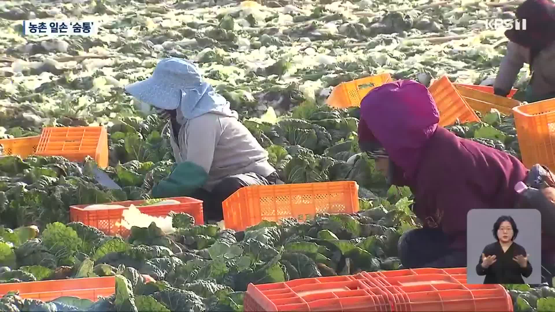 일손 부족 농어촌…외국 계절근로자로 ‘숨통’